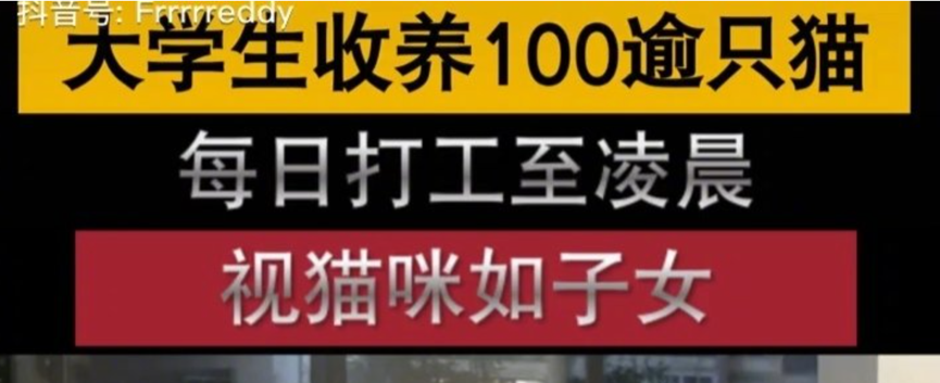 什么是垃圾收藏强迫症/收藏垃圾怪癖？